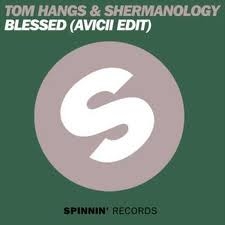 Tim Bergling Feat. Shermanology